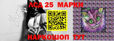 бошки Будённовск