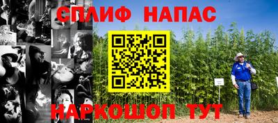 бошки Будённовск