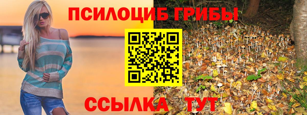 Галлюциногенные грибы Cubensis Рыбинск